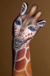 Giraffe1-225×340